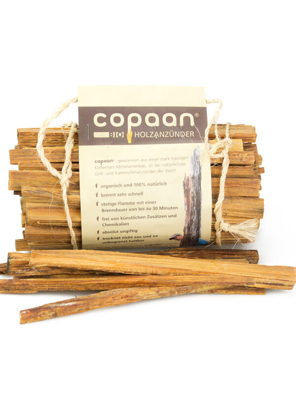 Copaan Kienspäne / FATWOOD